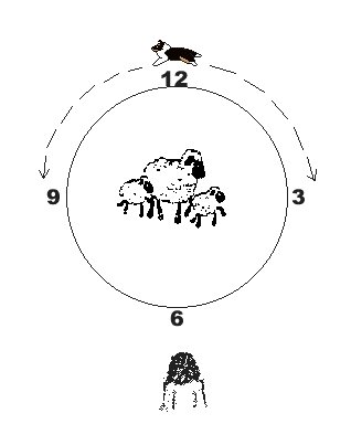 Illustration af urskive-begrebet