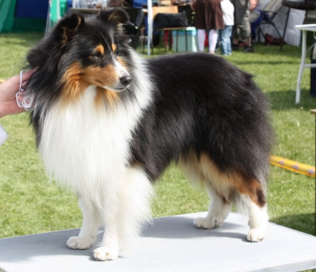 Ergo 3 �r, Pr�st�-udstilling maj 2008