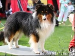 Shetla's Ergo at Equinox, photo by Dorina Lampe