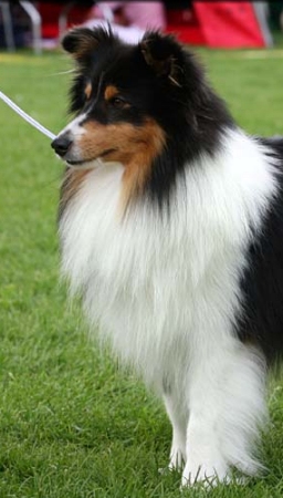 Shetla's Ergo at Equinox 2 �r, photo by Dorina Lampe