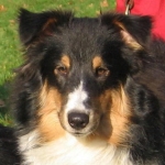 Shetla's Elliot at Equinox