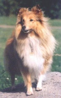 Tilda 7� years old