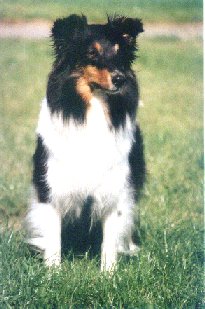 Breezy 2 �r gammel