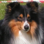 Shetla's Ergo at Equinox