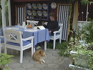 Den overdækkede del af vores gårdsplads - vores hyggekrog om sommeren. Her ses min mor, tricolouren på bænken ved siden af hende er Ronja, og den zoble foran bordet er Tilda. Rea ligger under bordet, man kan lige ane hendes poter. Breezy er sikkert ude og jage fugle væk fra græsplænen.