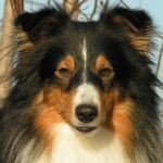 Shetla's Ezinnia at Equinox